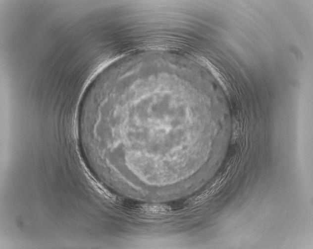 X0000116020795200912041749