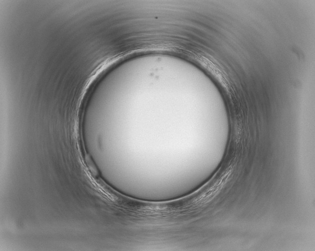 X0000116020797200912041749