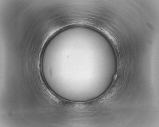 X0000116020799200912041749