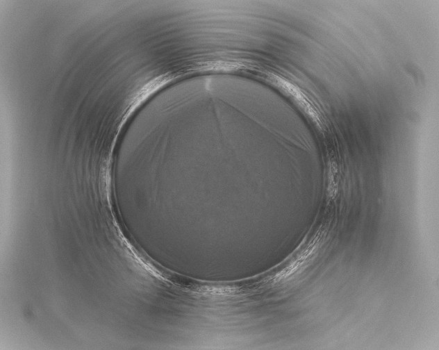 X0000116020802200912041749