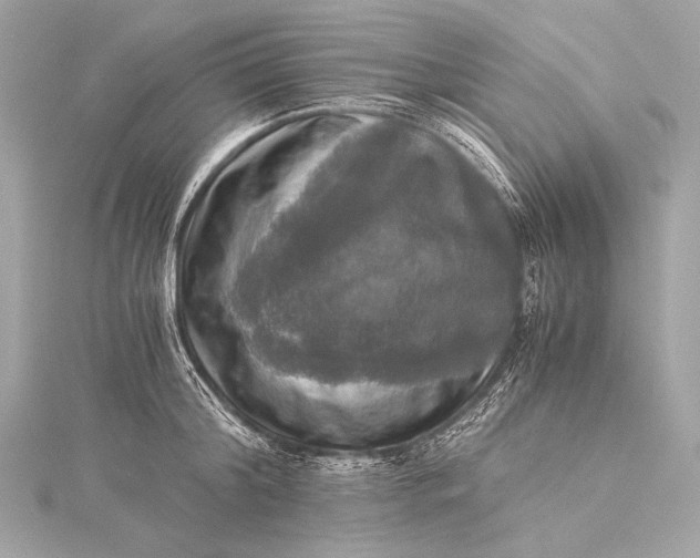 X0000116020804200912041749