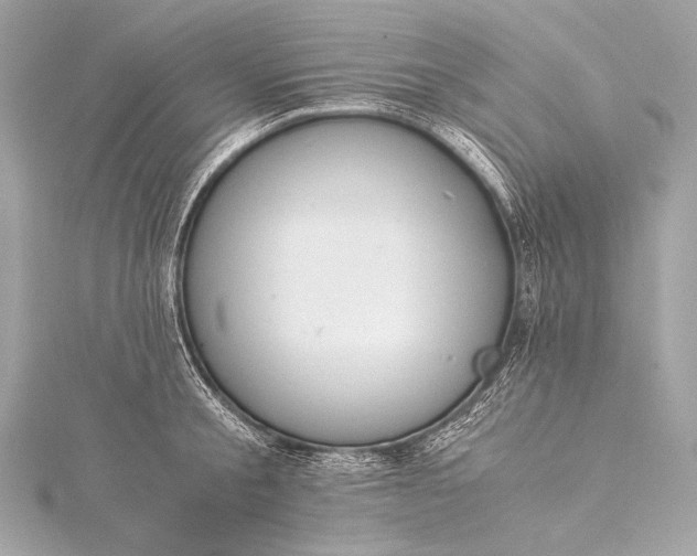 X0000116020805200912041749