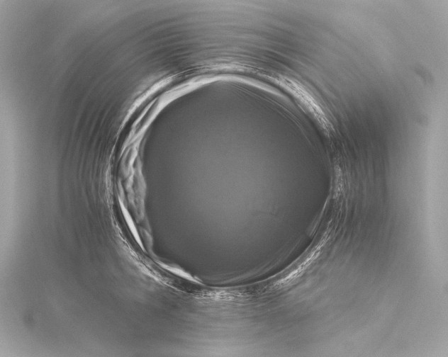 X0000116020806200912041749