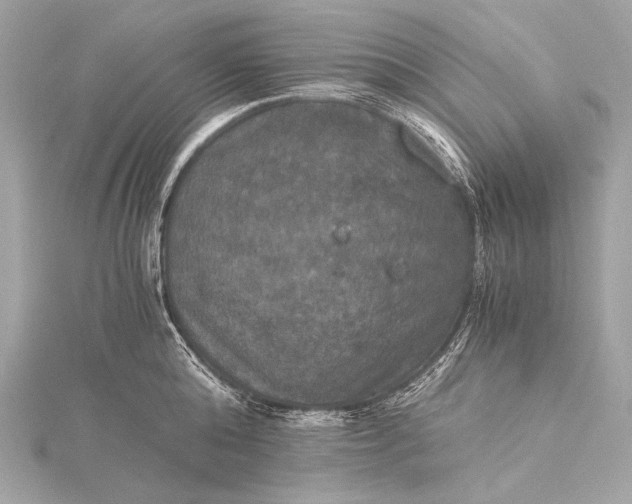 X0000116020808200912041749