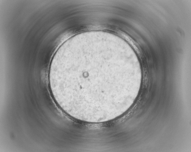 X0000116020810200912041749