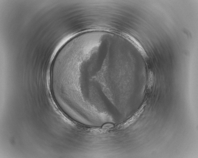 X0000116020812200912041749