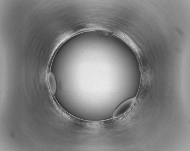 X0000116020813200912041749