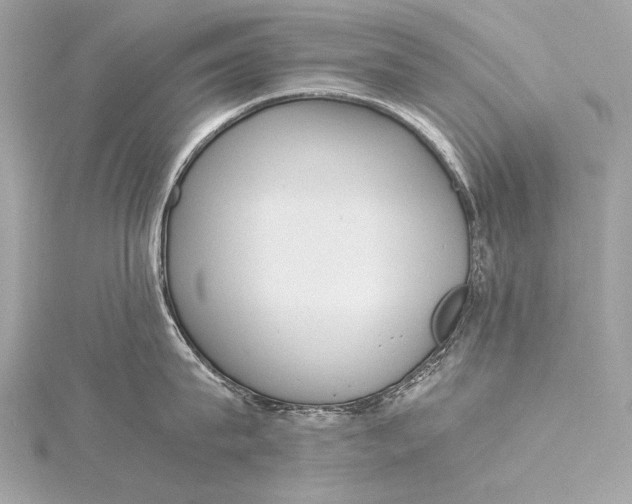 X0000116020815200912041749