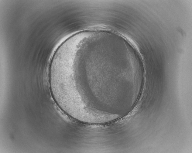 X0000116020816200912041749