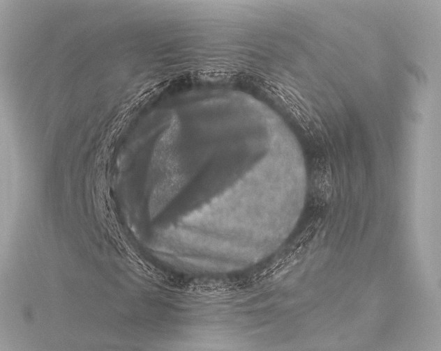 X0000116020817200912041748