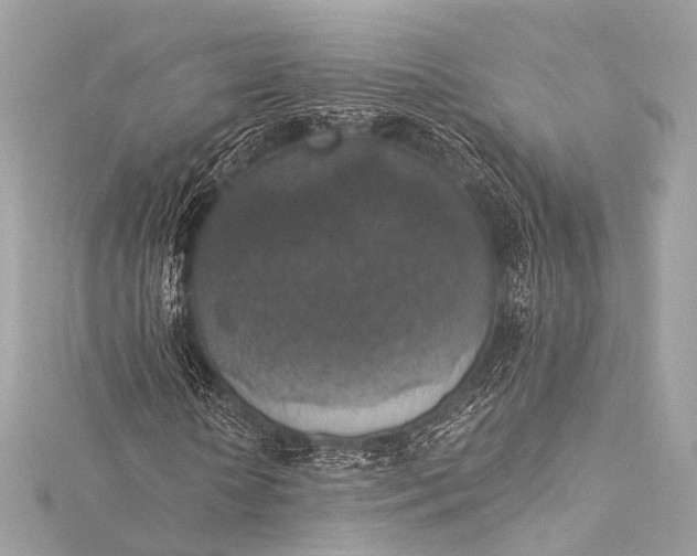 X0000116020818200912041748