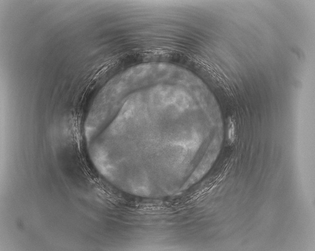 X0000116020819200912041748