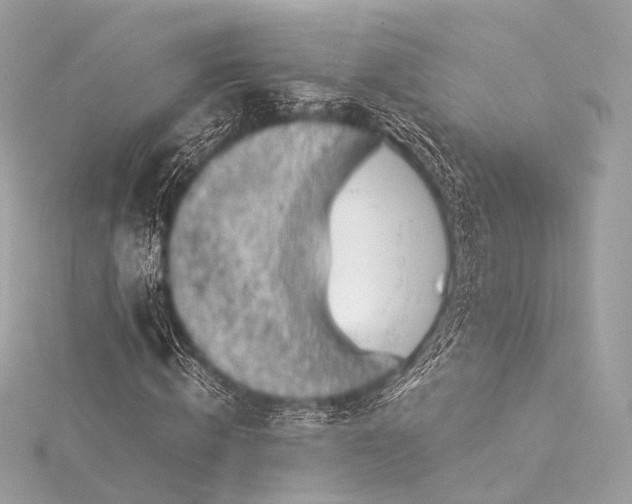 X0000116020820200912041748