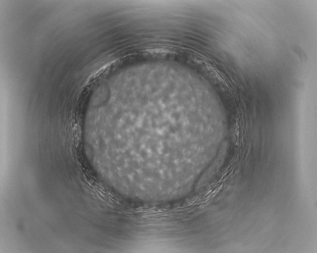 X0000116020821200912041748