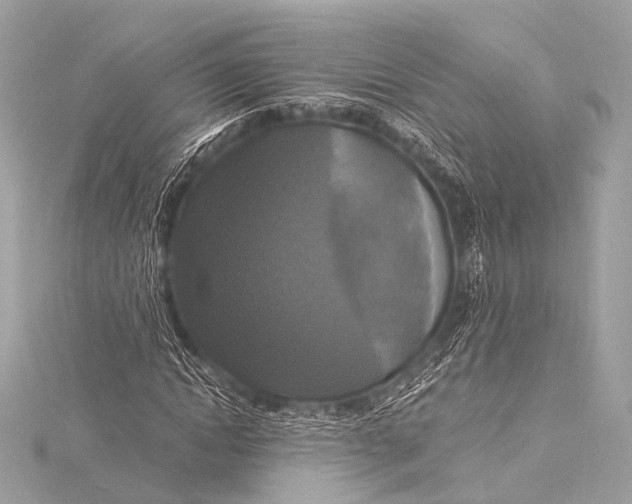 X0000116020822200912041748