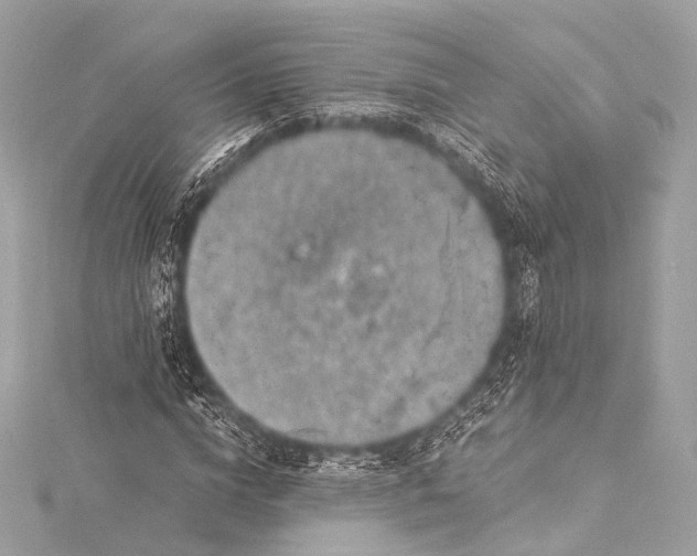 X0000116020824200912041748