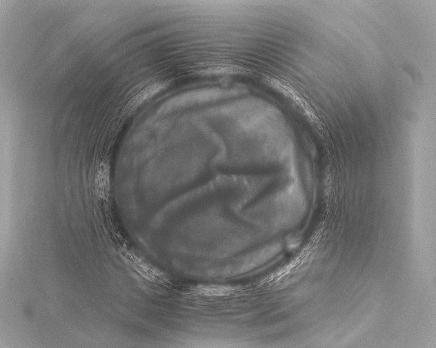 X0000116020825200912041748