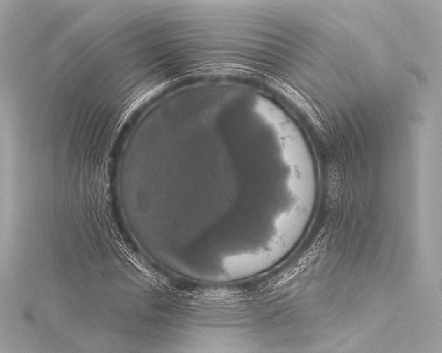 X0000116020826200912041748