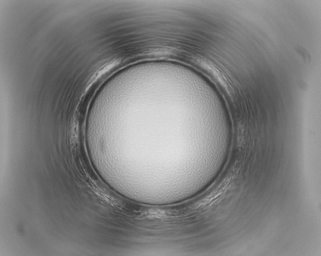 X0000116020827200912041748