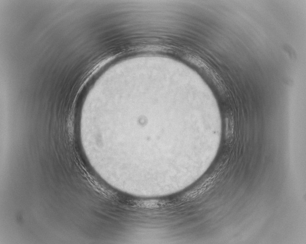 X0000116020828200912041748