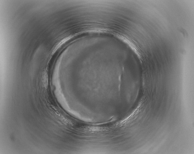 X0000116020829200912041748