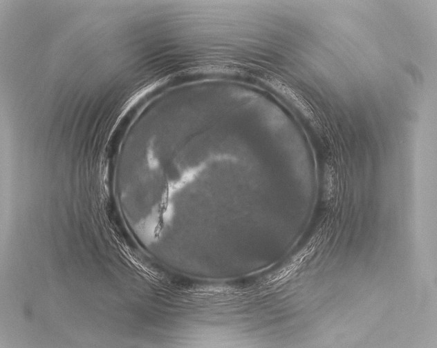 X0000116020830200912041748