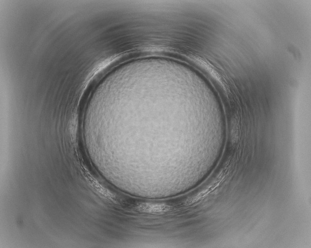 X0000116020831200912041748