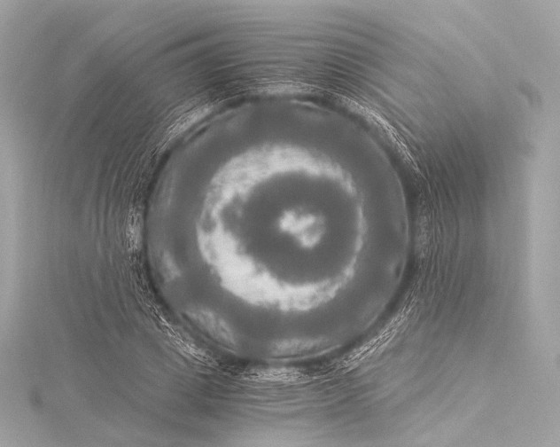 X0000116020833200912041748