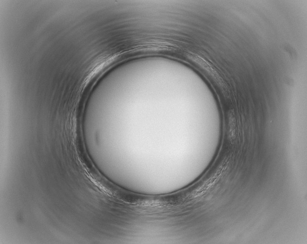 X0000116020834200912041748