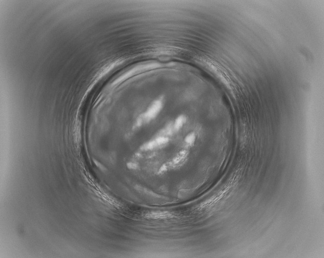 X0000116020835200912041748