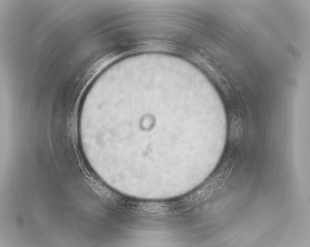 X0000116020836200912041748