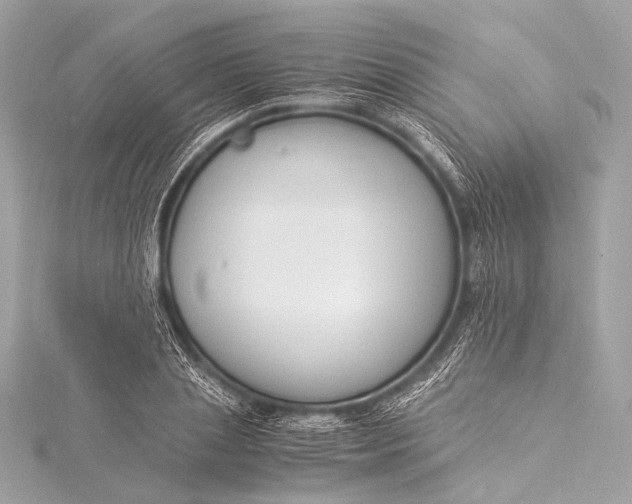 X0000116020837200912041748