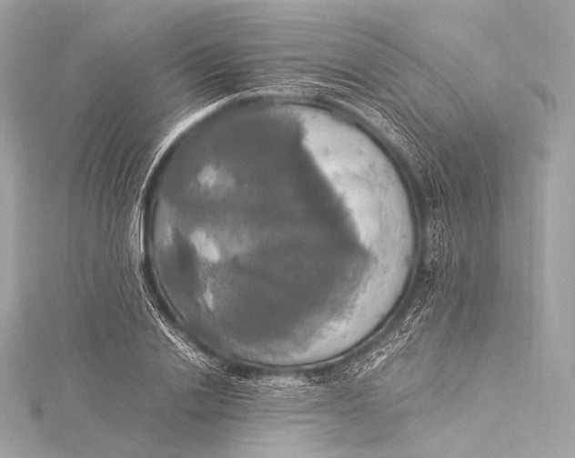 X0000116020838200912041748