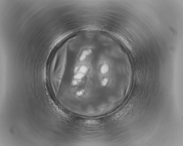 X0000116020839200912041748