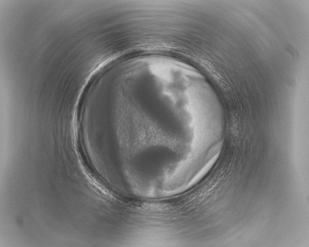 X0000116020840200912041749