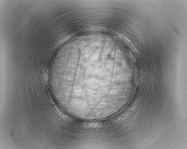 X0000116020841200912041749