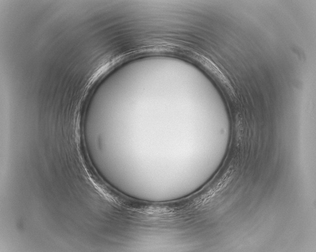 X0000116020842200912041749