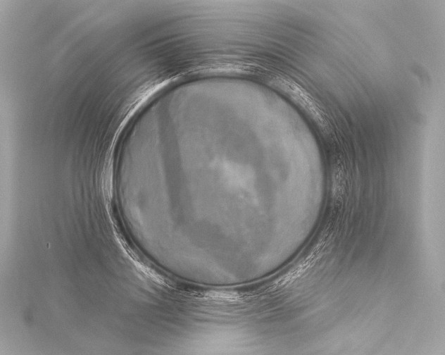 X0000116020844200912041749