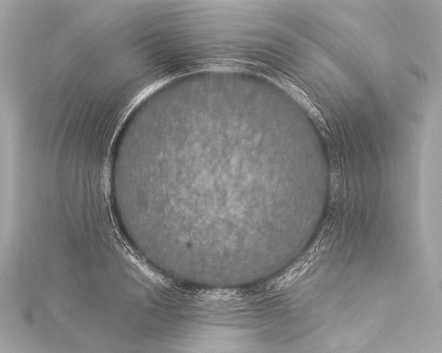 X0000116020846200912041749