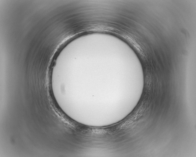 X0000116020848200912041749