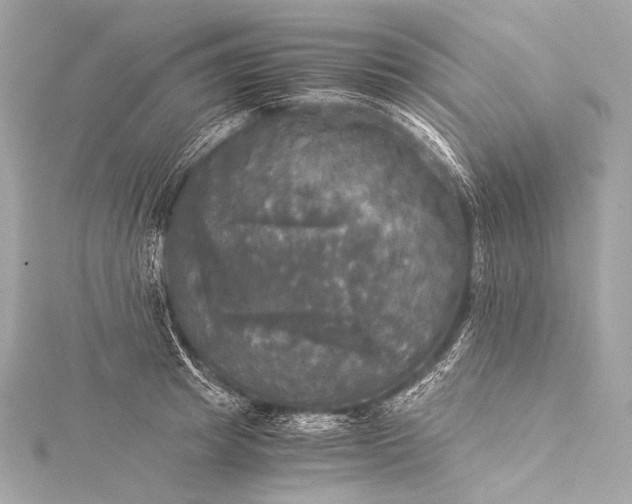 X0000116020849200912041749