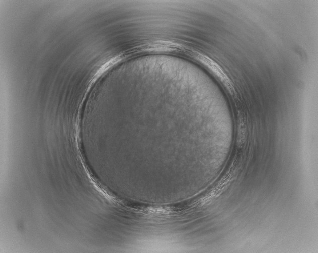 X0000116020850200912041749