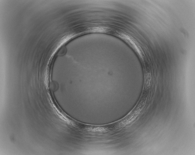 X0000116020851200912041749