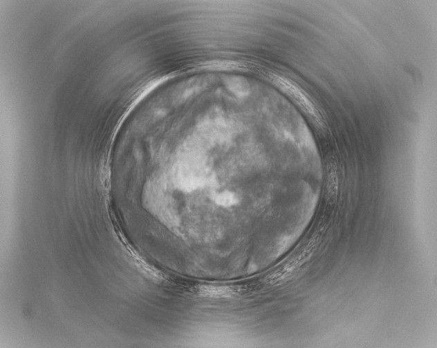 X0000116020852200912041749