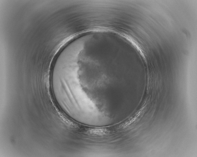 X0000116020853200912041749