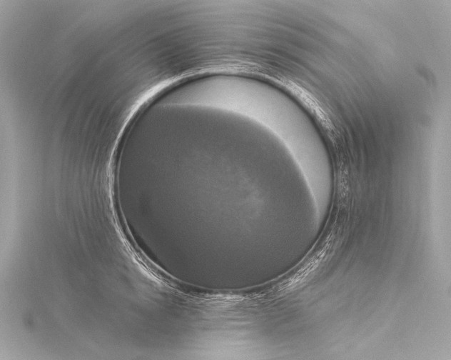 X0000116020854200912041749