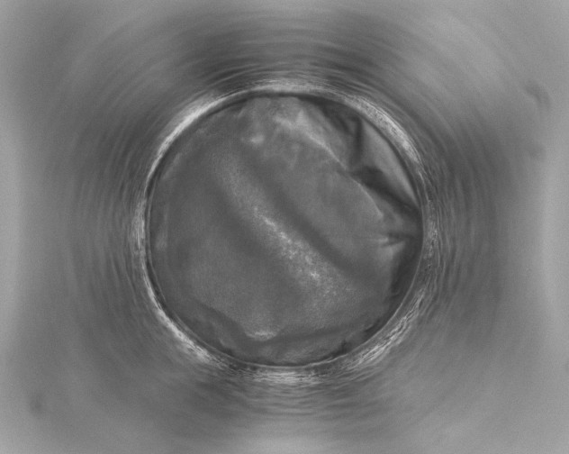 X0000116020855200912041749