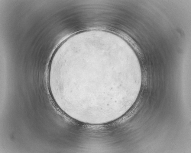 X0000116020856200912041749