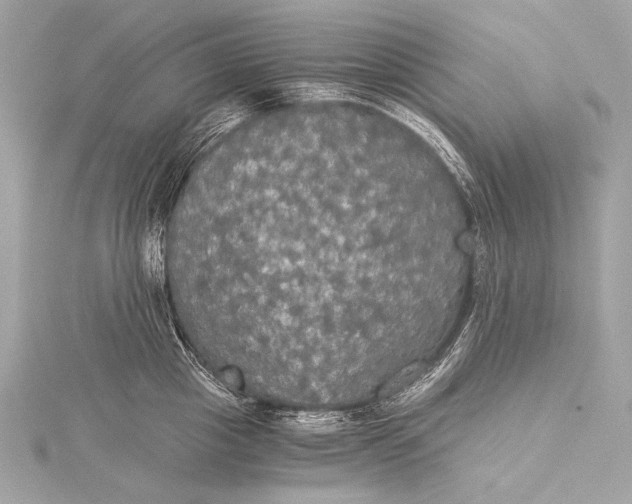 X0000116020857200912041749