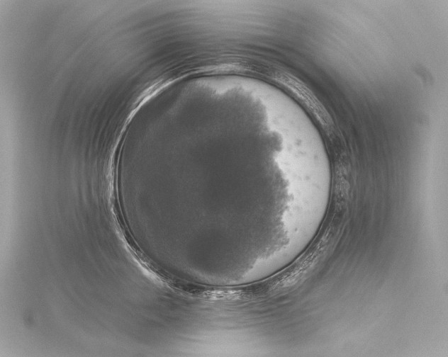 X0000116020858200912041749